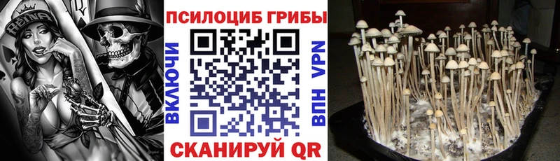 Галлюциногенные грибы Cubensis Соликамск