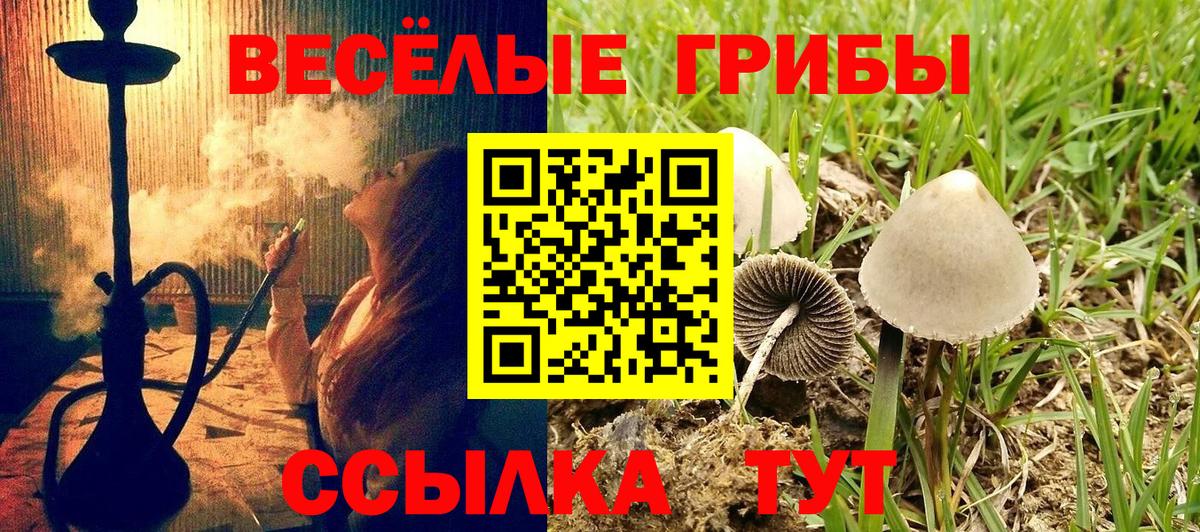 Псилоцибиновые грибы Psilocybine cubensis Соликамск