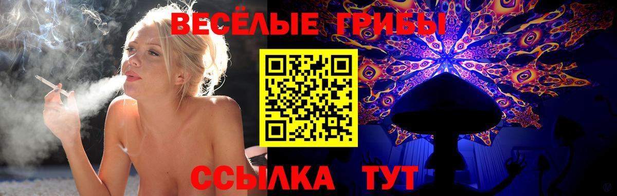 Псилоцибиновые грибы Psilocybe  Вход с VPN  Соликамск  Псилоцибиновые грибы ЛСД 
